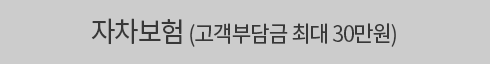 자차보험