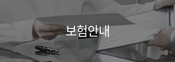 보험안내