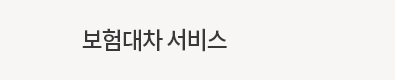 보험대차 안내