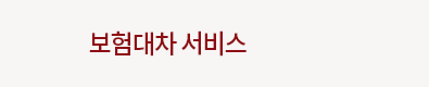 보험대차 안내